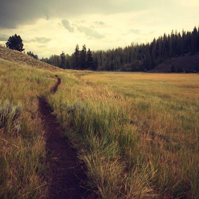 Zapatilla Urbana Blanca — imagen 2 de 3